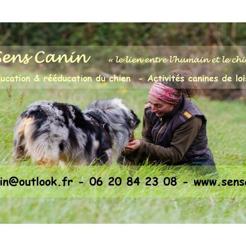 Une Chronique qui a du chien...